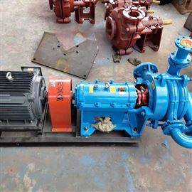 ZJEX新型雙(shuāng)葉輪壓濾機進料(liào)泵