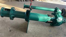 100RV-SP洗沙(sha)廠選礦廠(chǎng)用液下渣(zhā)漿泵